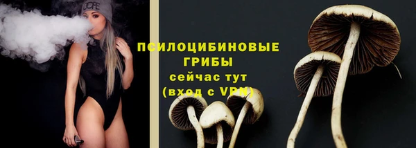эйфоретик Абинск