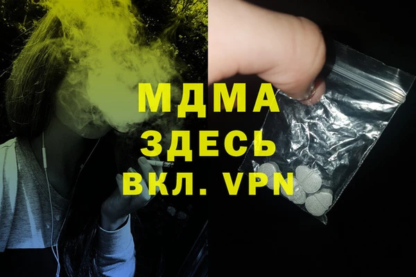 стаф Алексин