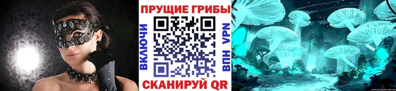 купить наркотик  гидра ссылки  Галлюциногенные грибы мухоморы  Смоленск 