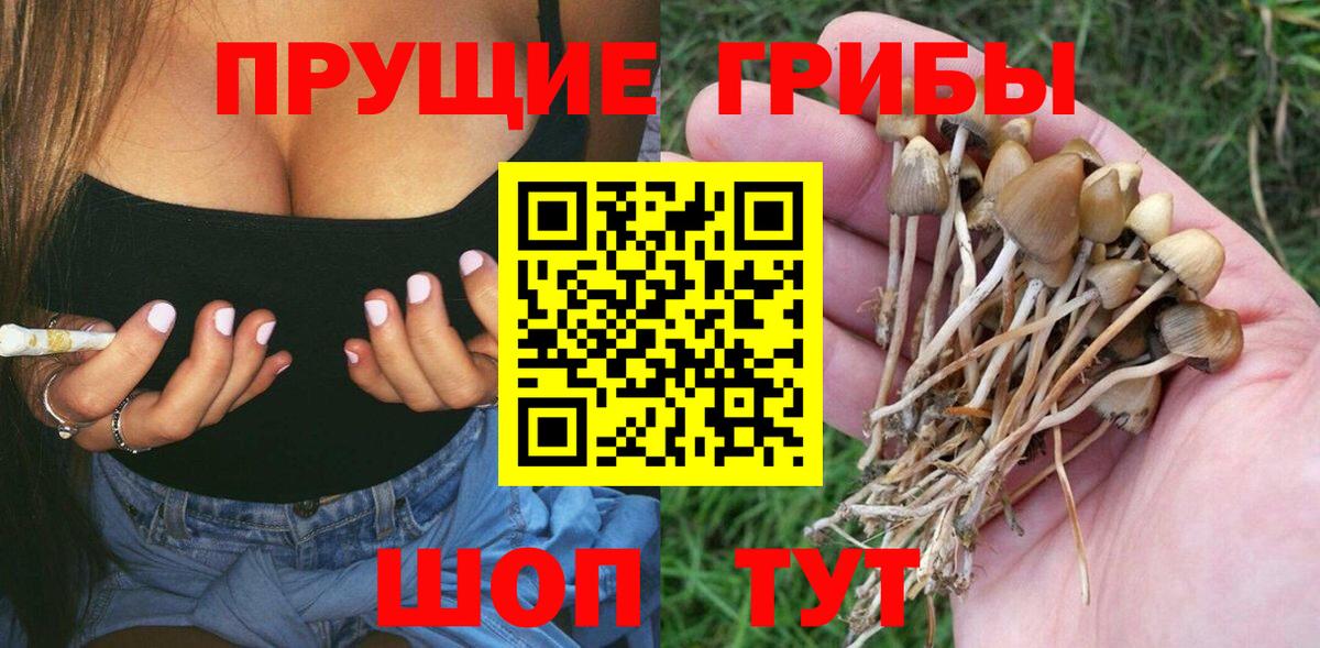 Смоленск  Галлюциногенные грибы Magic Shrooms  Вход с VPN 