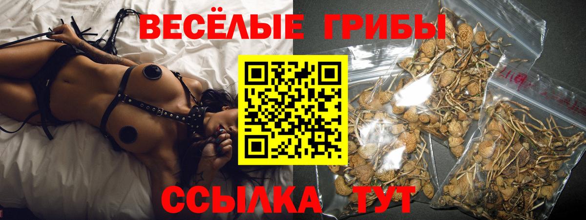 Псилоцибиновые грибы GOLDEN TEACHER Смоленск